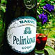 Pelinkovac
