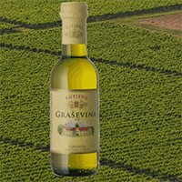 Graševina Kutjevo